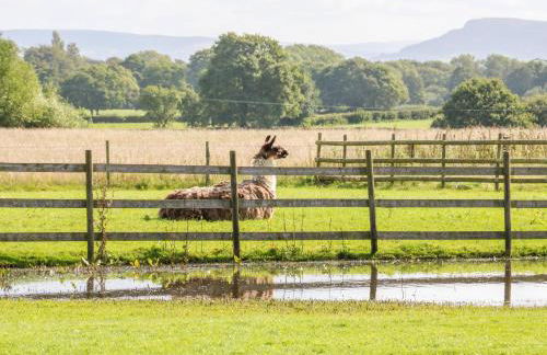 Chequer Stable - Photo 18