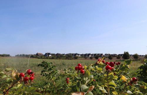 Ostseeferienhaus California - Foto 48