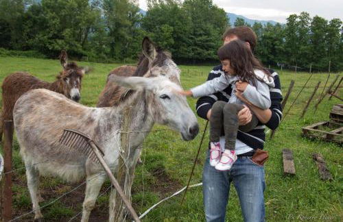 Coriana Apartments & Villas - Foto 23