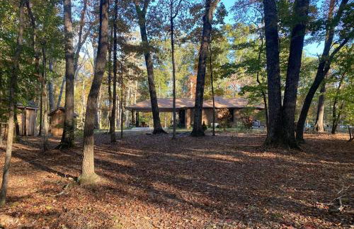 Quiet Forest Vacation home on a Private Road with Spacious Patios, Fire pit, Pet friendly and a Private pool - Foto 17