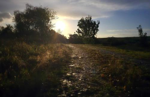 Luxury Welsh wooden cabin - Foto 58