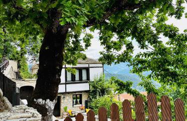 ΤΟ ΑΡΧΟΝΤΙΚΟ - Photo 14