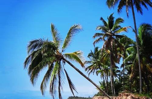 Cond ReservaTaipu, apart 202 - Foto 25