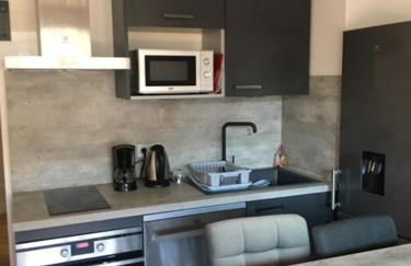 Studio les mélèzes vue montagne Barcelonnette - Foto 15