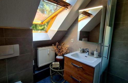 Urlaubsdomizil Am Töpfer - Ferienwohnungen in Olbersdorf - Foto 23