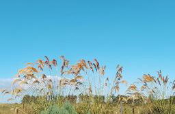 North Star Glamping - Foto 92