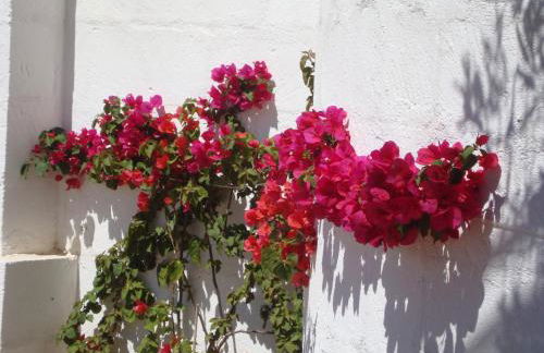 Masseria Bianca di Puglia - Foto 14