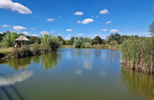 Ruralna kuća za odmor - Bitunjac - Photo 18