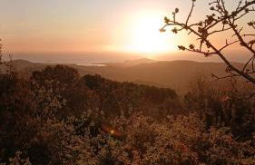 Sa Mesaluna Naturhouse - Foto 1