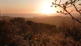 Sa Mesaluna Naturhouse - Foto 1