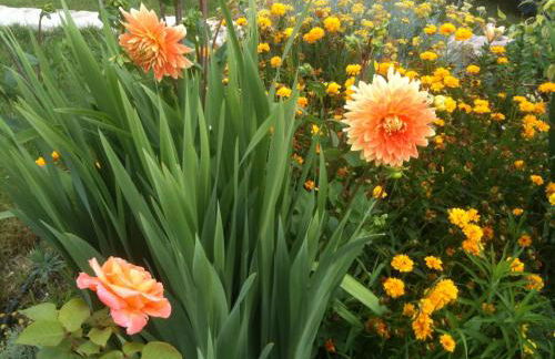 L'Esperluette - Gîte Orange et Gîte Framboise - Foto 23