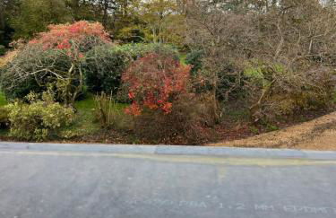 The Loft, Steep, Petersfield in Collyers Estate part of The South Downs National Park. - Foto 12