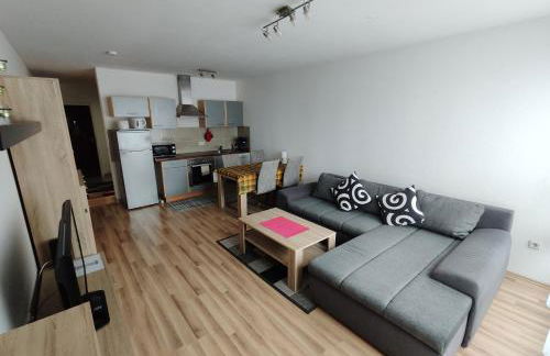 HOG Apartment Nürnberg St. Peter - Foto 4