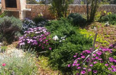 Kuća za odmor Maruška - Foto 20