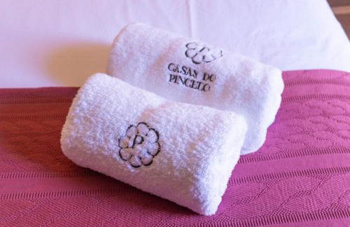 Ribeira Sacra a Orilla Rio Miño Casas do Pincelo - Foto 55