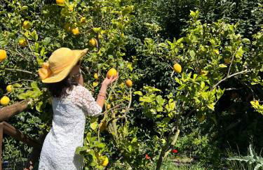 Wanderlust - Foto 18