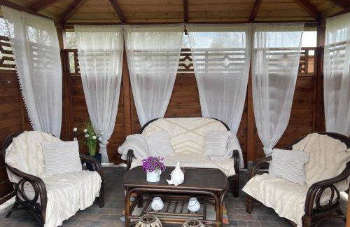 Agro na Wapniarni - Foto 28