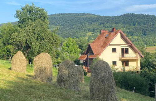 W górach nad strumieniem - Foto 1