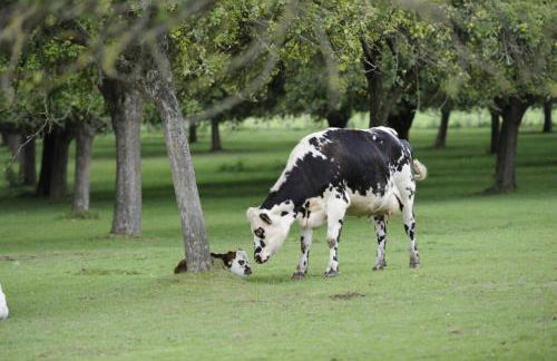 La Maison Bleue au coeur des Plages du Débarquement - Photo 51