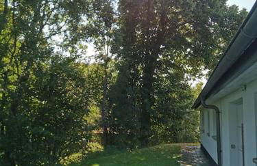 Bungalow mit 200 qm Wohnfläche :) - Foto 10