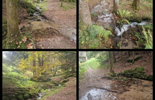 Panoramablick Bermersbach - Foto 17