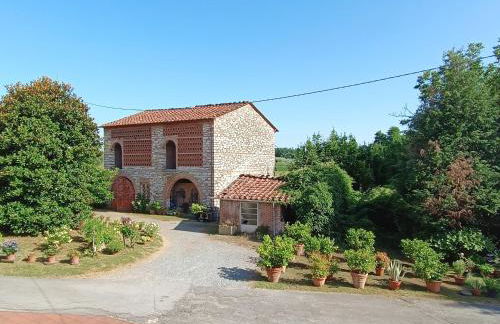 Corte Bicchio 11 ospiti - Foto 18