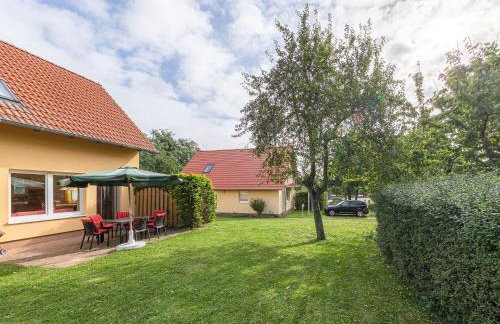 Sonnenblume_DH - Foto 22