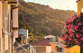 Villa del Jerte - Foto 18