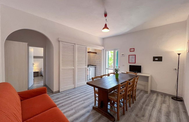 Azienda Agricola Sapereta - Foto 13