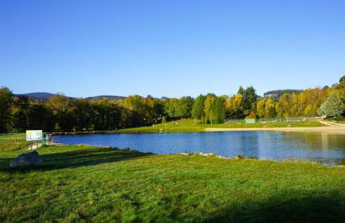 Domaine de charme 2 gîtes, 15 pers, animaux admis, wifi - FR-1-496-368 - Foto 21