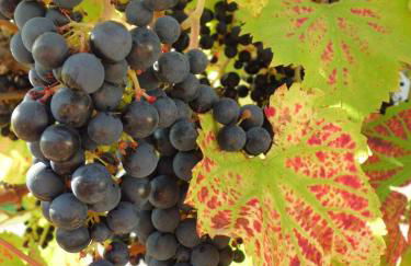 Ferienwohnung Zur Egge - Foto 33