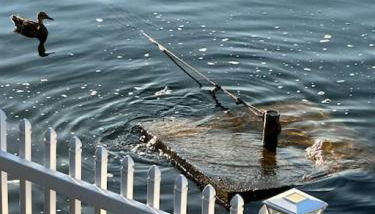 5 Bedroom on Lake of the Ozarks - Foto 5