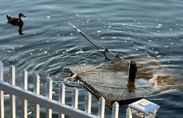 5 Bedroom on Lake of the Ozarks - Foto 5