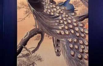 The Peacock - Artsy East Hill Getaway - Foto 24