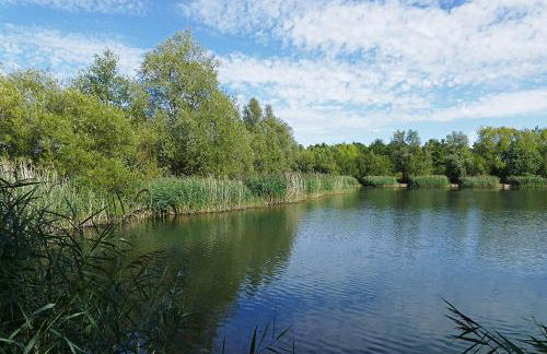 Voyager Haus Apartments, EV Charging Stations, London Heathrow Airport, LHR, Terminal 4, RE-Energise & GO - Foto 75