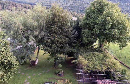 Il Nocciolo - Foto 3