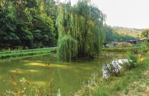 2 Bedroom Nice Home In Schlitz-Rimbach - Foto 23