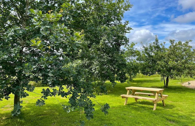 Sunshine Annex-double Bed,ensuite, Lounge, Kitchen - Foto 45