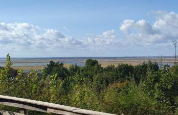 Pogodne Wzgórze - Foto 61