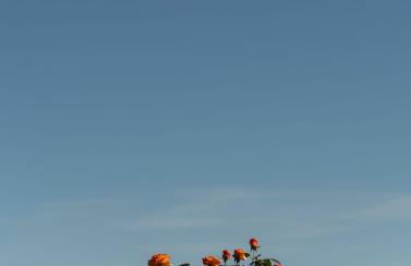 Roero House - Foto 59