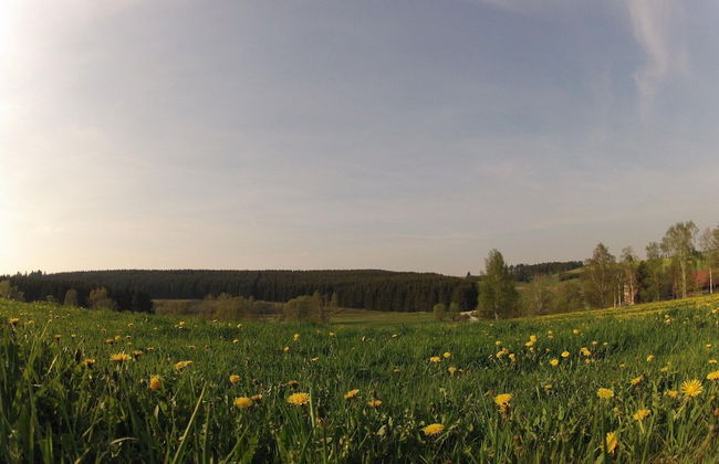 Doppelhaushalfte in Hasselfelde - Foto 17