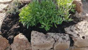 APPARTAMENTO Tamburro - Foto 3