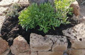 APPARTAMENTO Tamburro - Foto 3