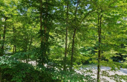 ManeStay- Pet Friendly, Hot Tub, Firepit - Foto 26