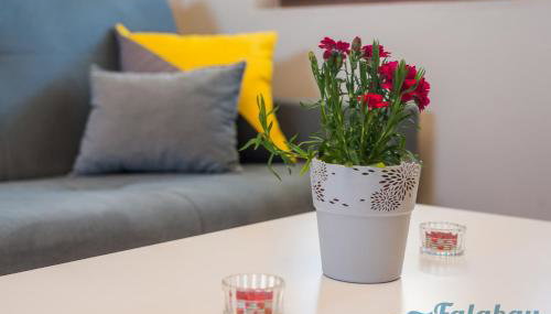 Domki Falabay - Foto 5