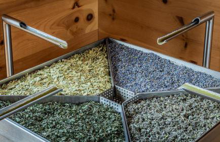 Ferienwohnungen - Alpenhotel Fischer 4 Sterne - Landhaus Inge Adults Only - Foto 33