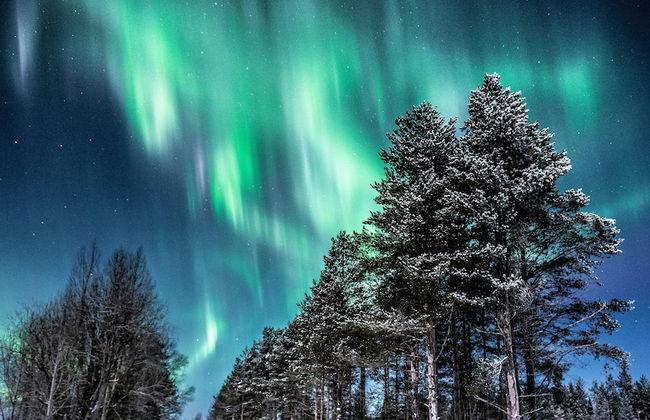 The Iconic Wikkelä Villa - Foto 65