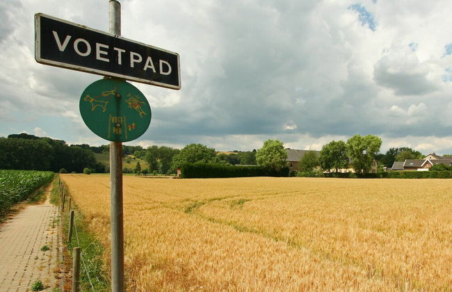 Lovely Farmhouse in Wijlre near Forest - Foto 27