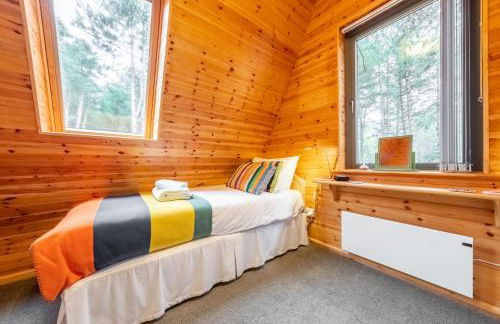 Woodpecker - Photo 38