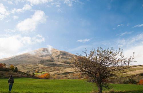 Agriturismo Le Castellare - Foto 43